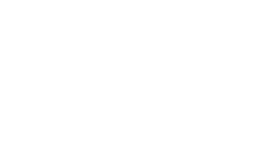 SoMi Coach Works — We Meet By Accident